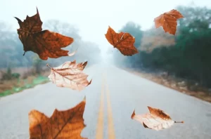 Leavings falling onto a street