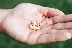 Hearing aids in the palm of a hand