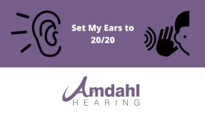 Set My Ears to 20/20 | The Hearing Aid Fitting Formula