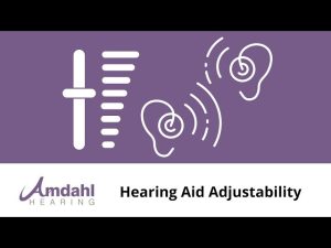 Hearing Aid Adjustability